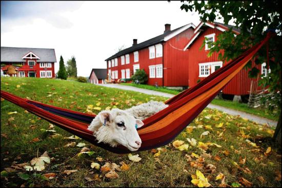 Julekveld på Berg Gård